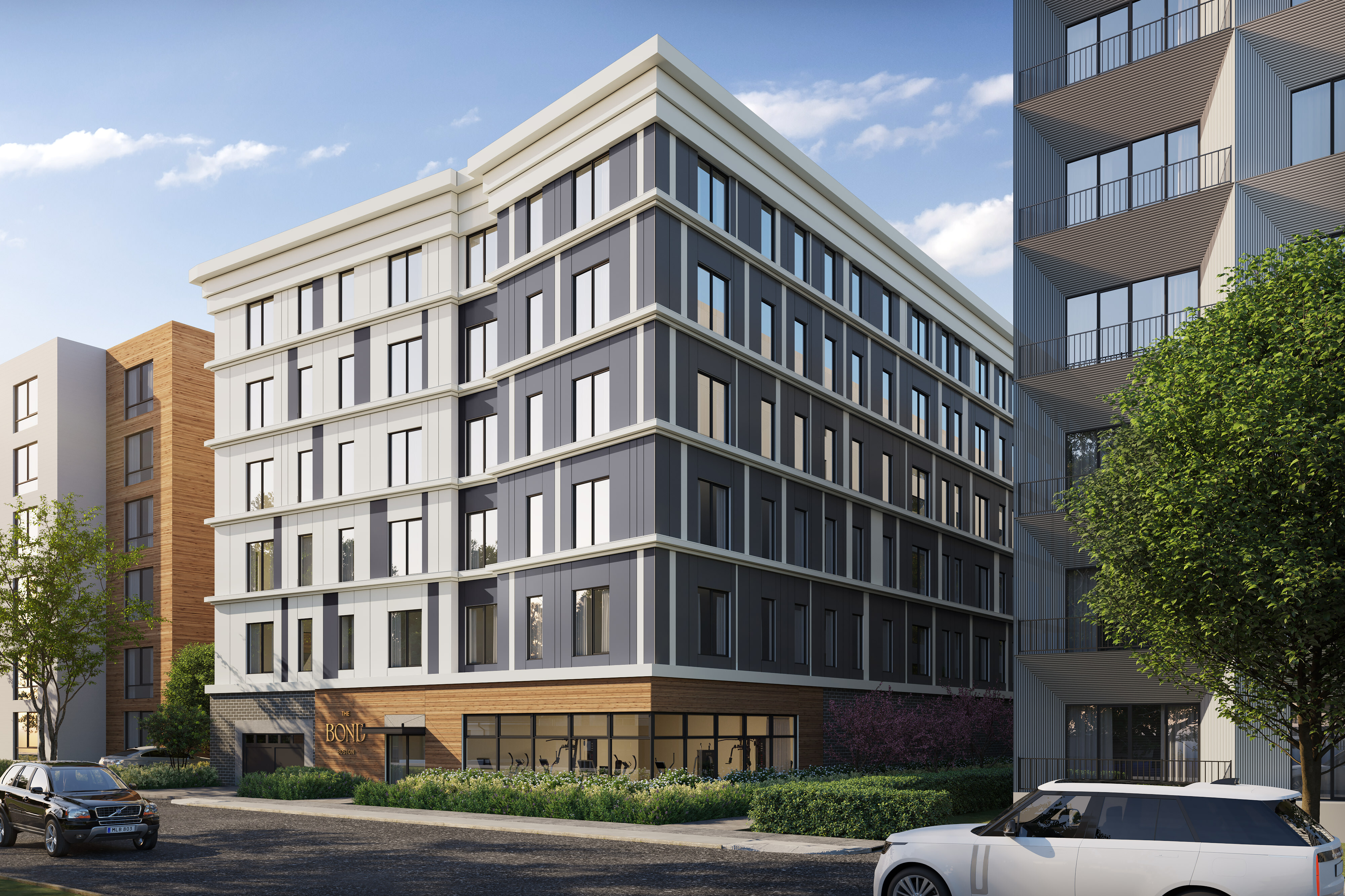 Streetview op1 FN3 Alyssa Melignano